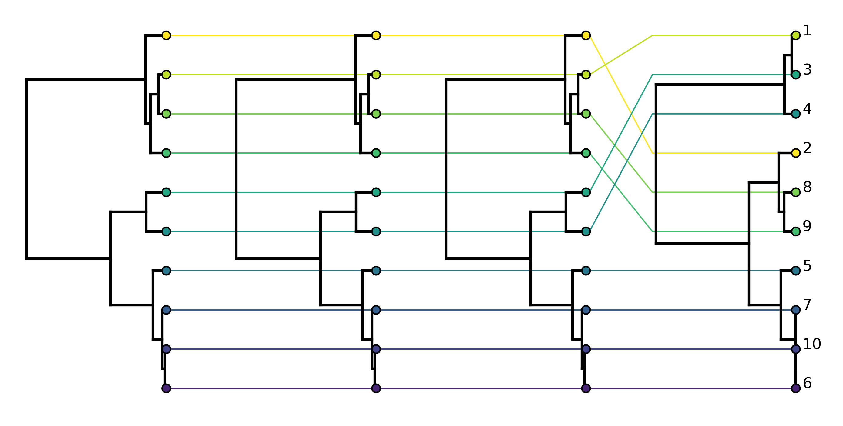 ARG tanglegram